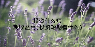 投资什么短期收益高(投资短期看什么)