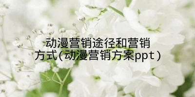 动漫营销途径和营销方式(动漫营销方案ppt)