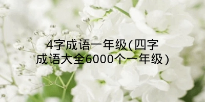 4字成语一年级(四字成语大全6000个一年级)
