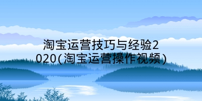 淘宝运营技巧与经验2020(淘宝运营操作视频)