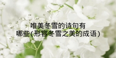 唯美冬雪的诗句有哪些(形容冬雪之美的成语)