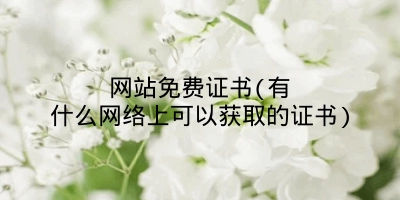 网站免费证书(有什么网络上可以获取的证书)