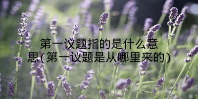 第一议题指的是什么意思(第一议题是从哪里来的)