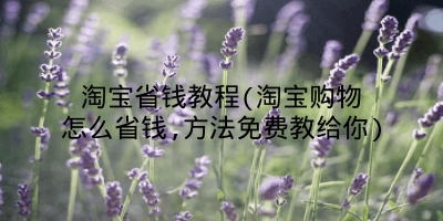 淘宝省钱教程(淘宝购物怎么省钱,方法免费教给你)