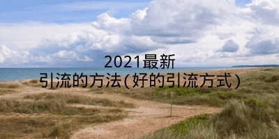 2021最新引流的方法(好的引流方式)