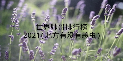 世界帅哥排行榜2021(北方有没有恙虫)