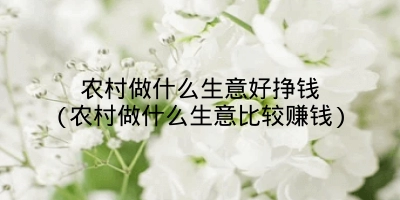 农村做什么生意好挣钱(农村做什么生意比较赚钱)