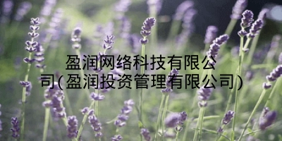 盈润网络科技有限公司(盈润投资管理有限公司)