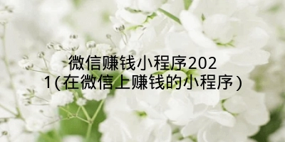 微信赚钱小程序2021(在微信上赚钱的小程序)