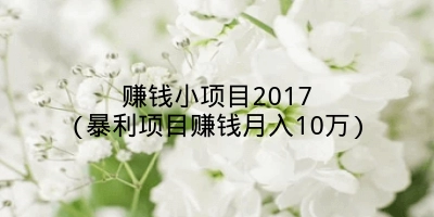 赚钱小项目2017(暴利项目赚钱月入10万)