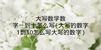 大写数学数字一到十怎么写(大写的数字1到10怎么写大写的数字)