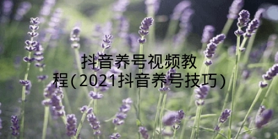 抖音养号视频教程(2021抖音养号技巧)