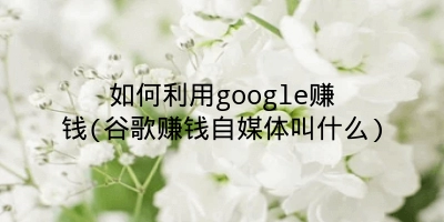 如何利用google赚钱(谷歌赚钱自媒体叫什么)