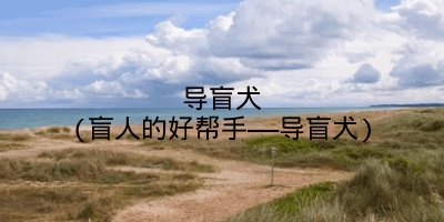 导盲犬(盲人的好帮手——导盲犬)