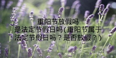 重阳节放假吗是法定节假日吗(重阳节属于法定节假日吗？是否放假？)