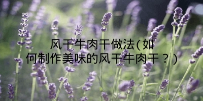 风干牛肉干做法(如何制作美味的风干牛肉干？)