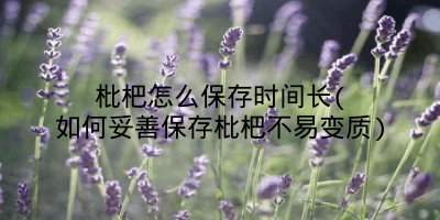 枇杷怎么保存时间长(如何妥善保存枇杷不易变质)