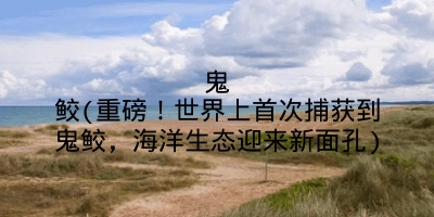 鬼鲛(重磅！世界上首次捕获到鬼鲛，海洋生态迎来新面孔)