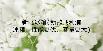 新飞冰箱(新款飞利浦冰箱，性能更优，容量更大)