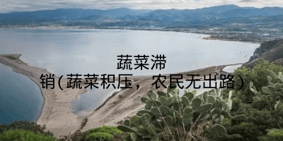 蔬菜滞销(蔬菜积压，农民无出路)
