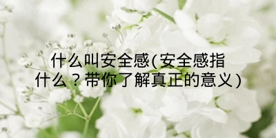 什么叫安全感(安全感指什么？带你了解真正的意义)