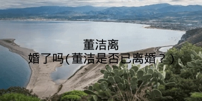 董洁离婚了吗(董洁是否已离婚？)