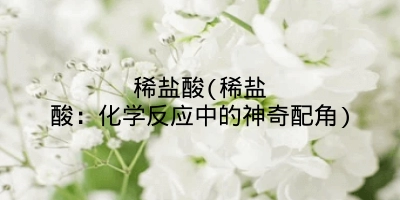 稀盐酸(稀盐酸：化学反应中的神奇配角)