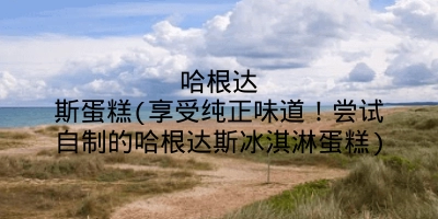 哈根达斯蛋糕(享受纯正味道！尝试自制的哈根达斯冰淇淋蛋糕)