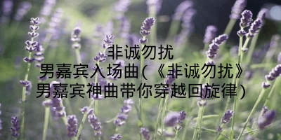 非诚勿扰男嘉宾入场曲(《非诚勿扰》男嘉宾神曲带你穿越回旋律)