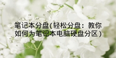 笔记本分盘(轻松分盘：教你如何为笔记本电脑硬盘分区)