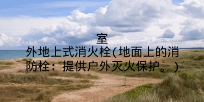 室外地上式消火栓(地面上的消防栓：提供户外灭火保护。)