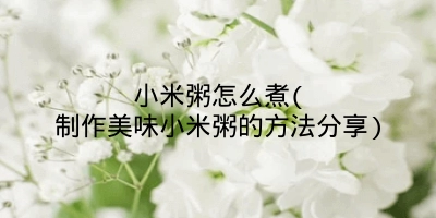 小米粥怎么煮(制作美味小米粥的方法分享)