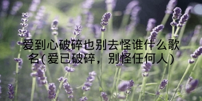 爱到心破碎也别去怪谁什么歌名(爱已破碎，别怪任何人)