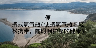便携式氧气瓶(便携氧气瓶：轻松携带，随时呵护您的健康)
