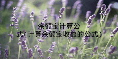 余额宝计算公式(计算余额宝收益的公式)