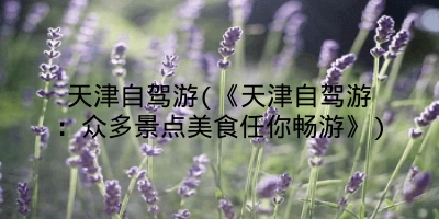天津自驾游(《天津自驾游：众多景点美食任你畅游》)