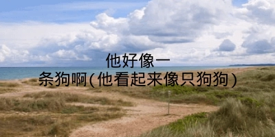 他好像一条狗啊(他看起来像只狗狗)