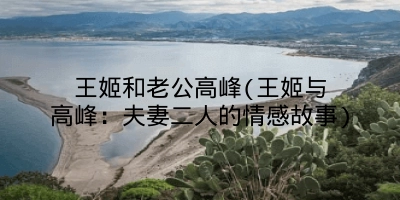 王姬和老公高峰(王姬与高峰：夫妻二人的情感故事)