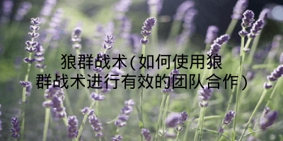 狼群战术(如何使用狼群战术进行有效的团队合作)