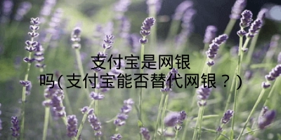 支付宝是网银吗(支付宝能否替代网银？)