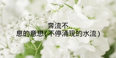奔流不息的意思(不停涌现的水流)