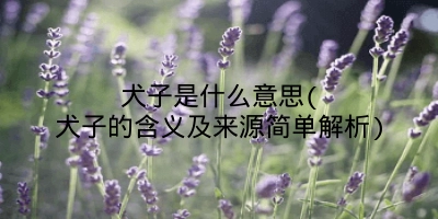 犬子是什么意思(犬子的含义及来源简单解析)