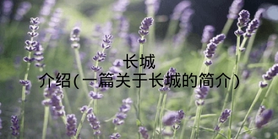 长城介绍(一篇关于长城的简介)