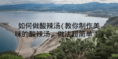 如何做酸辣汤(教你制作美味的酸辣汤，做法超简单！)