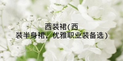 西装裙(西装半身裙，优雅职业装备选)