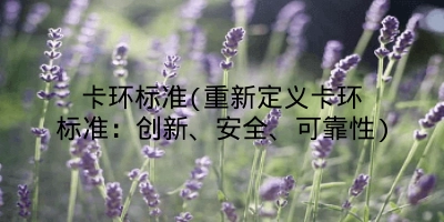 卡环标准(重新定义卡环标准：创新、安全、可靠性)