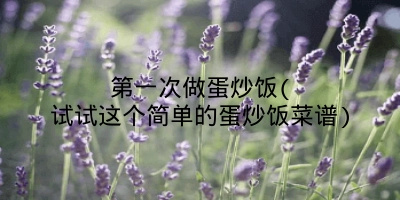 第一次做蛋炒饭(试试这个简单的蛋炒饭菜谱)
