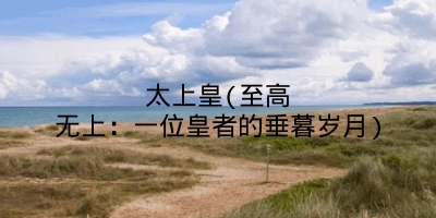 太上皇(至高无上：一位皇者的垂暮岁月)