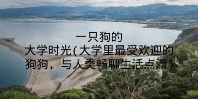 一只狗的大学时光(大学里最受欢迎的狗狗，与人类畅聊生活点滴)