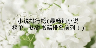 小说排行榜(最畅销小说榜单，热销书籍排名前列！)